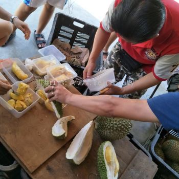 musang king buffet