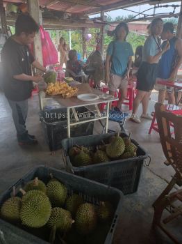 durian buffet