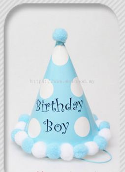 Party Hat Blue / Dots / Birthday Boy