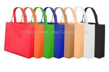 Non Woven Bag (BNW010)