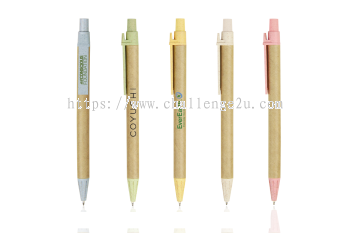 Ball Pen (STB29)