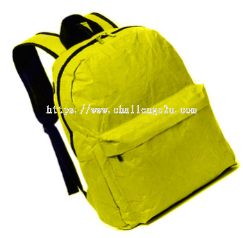Backpack (BB018)