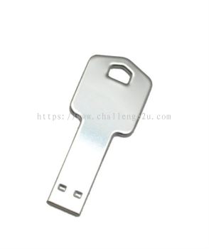 USB Flash Drive (IT83)