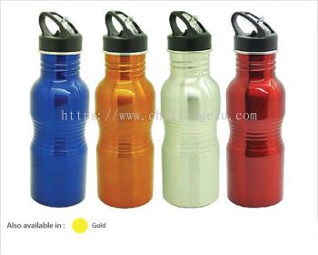 Water Bottle (WB40)