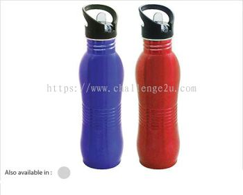 Water Bottle (WB38)