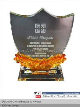 Crystal Plaque / Awards (CT51)