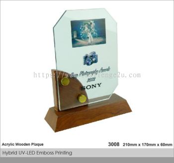 Crystal Plaque / Awards (CT35)