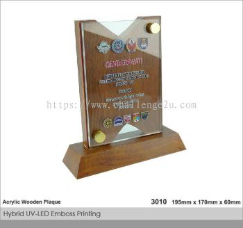 Crystal Plaque / Awards (CT33)