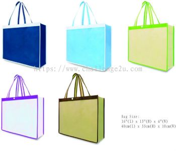 Non Woven Bag (BNW001)