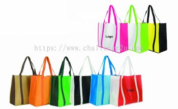 Non Woven Bag (BNW003)