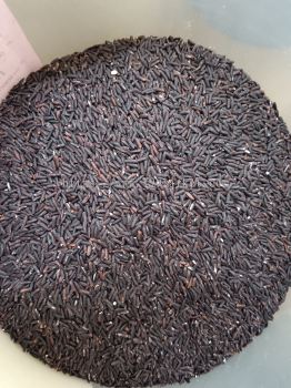Black Glutinous Rice 25kg