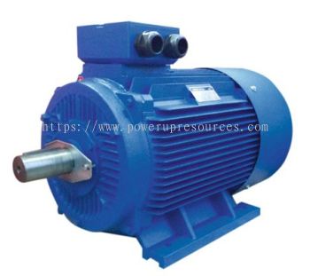 Electric Motors