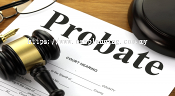 Probate and Letter of Administration Application