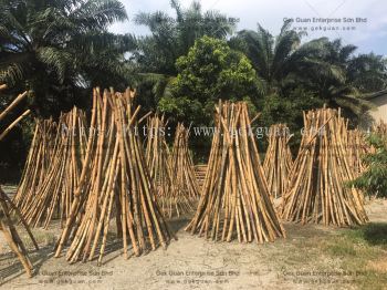 011 - RATTAN RAW MATERIAL