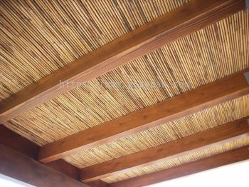 BAC 005 - BAMBOO CEILING