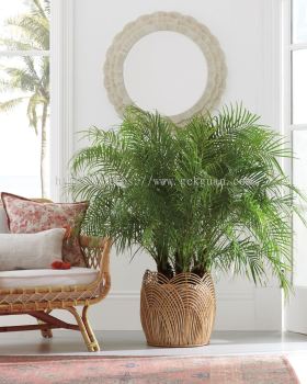 RAP 008 - RATTAN PLANTER