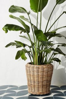 RAP 015 - RATTAN PLANTER