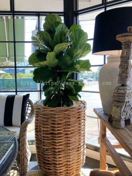 Rattan Planter