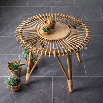 TAB 033 - RATTAN TABLE