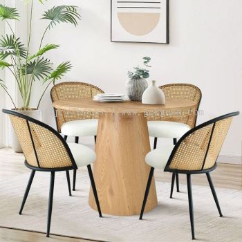 DS 004 - Rattan Dining Set