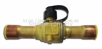 Emerson Ball Valve