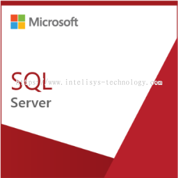 Microsoft SQL Server Standard Edition SQLSvrStd 2019 SNGL OLP NL