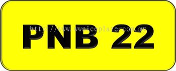 VIP Nice Number Plate (PNB22)