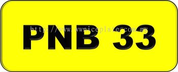 VIP Nice Number Plate (PNB33)