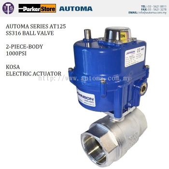 AT125B (Electric actuator ball valve)