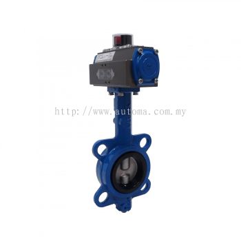 ACM Wafer Type Butterfly Valve (Cast Iron Body)