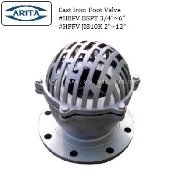 Cast Iron Foot Valve BSPT/JIS10K