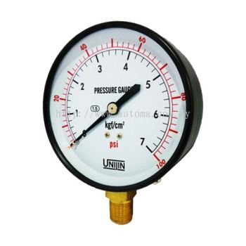 P110 General Pressure Gauge