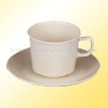 Tea Cup & Saucer - 504 & 536