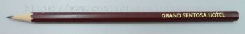 Flat Top Pencil w/Logo