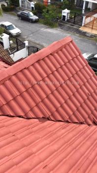 Residential Roofing Painting