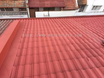 Residential Roofing Painting