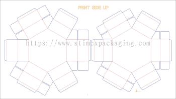Type of Packaging 