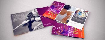 FLYER & BROCHURES