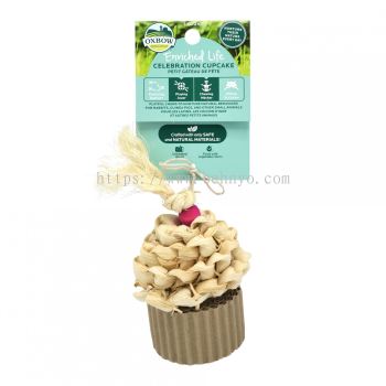 Enriched Life - Celebration Cupcake