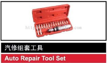 Auto Repair Tool Set