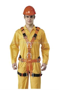 Telecom Full Body Harness