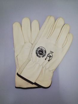 Argon Gloves 