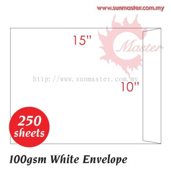 10" x 15" White Envelope