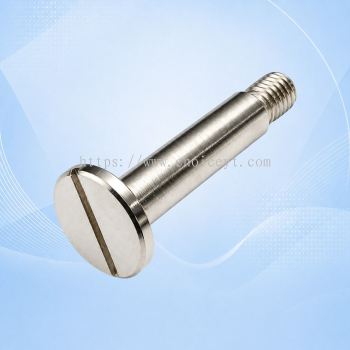 P/NO. 29 SHOULDER SCREW (AGP TP2000)