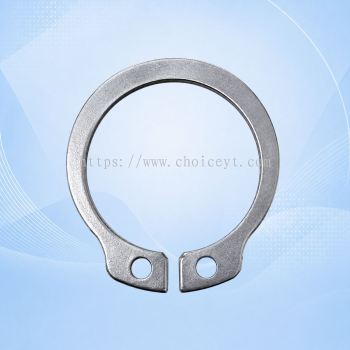 P/NO.1688100 RING D.20 (VIRUTEX FC116U)