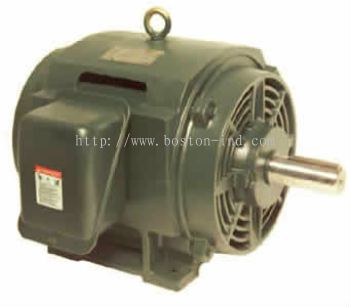 Hensen Open Drip Proof Motor