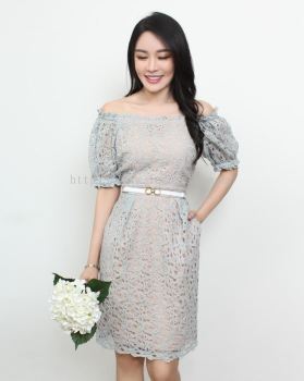 12270085 Lace Sleeved Dress 