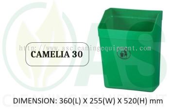 CAMELIA 30