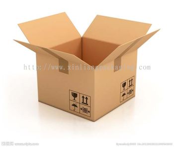 Carton Box Sample