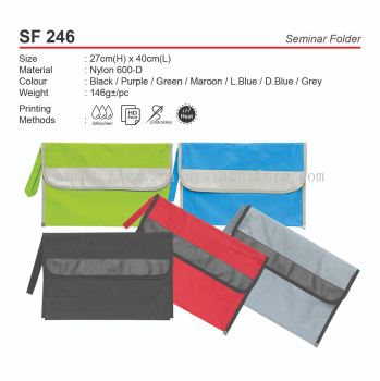 D*SF246 Seminar Folder (A)